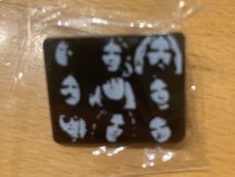 Lynyrd Skynyrd Pin Anstecker Rock Punk Metal Pop