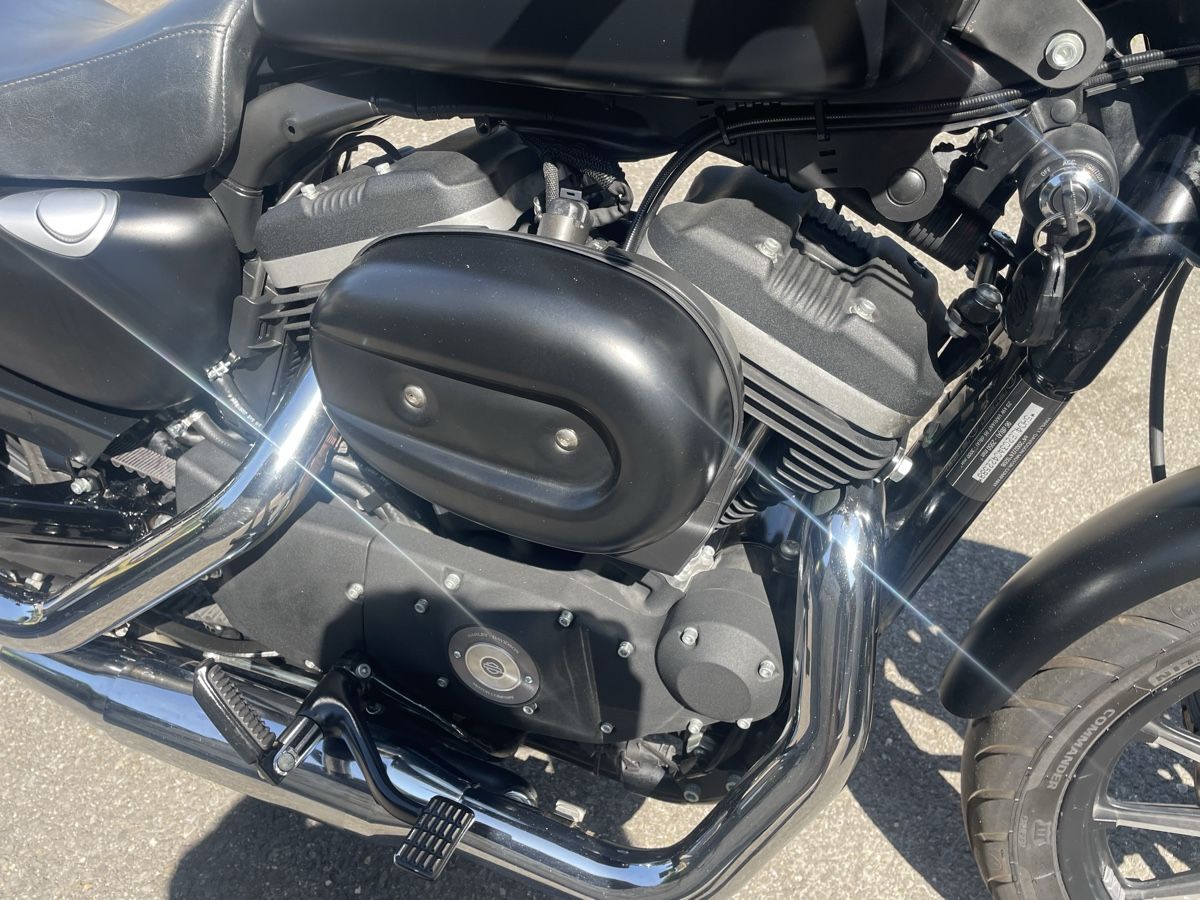 Harley-Davidson Chopper: Harley Davidson XL 883N – Gebraucht aus Birrwil von Memme0 2