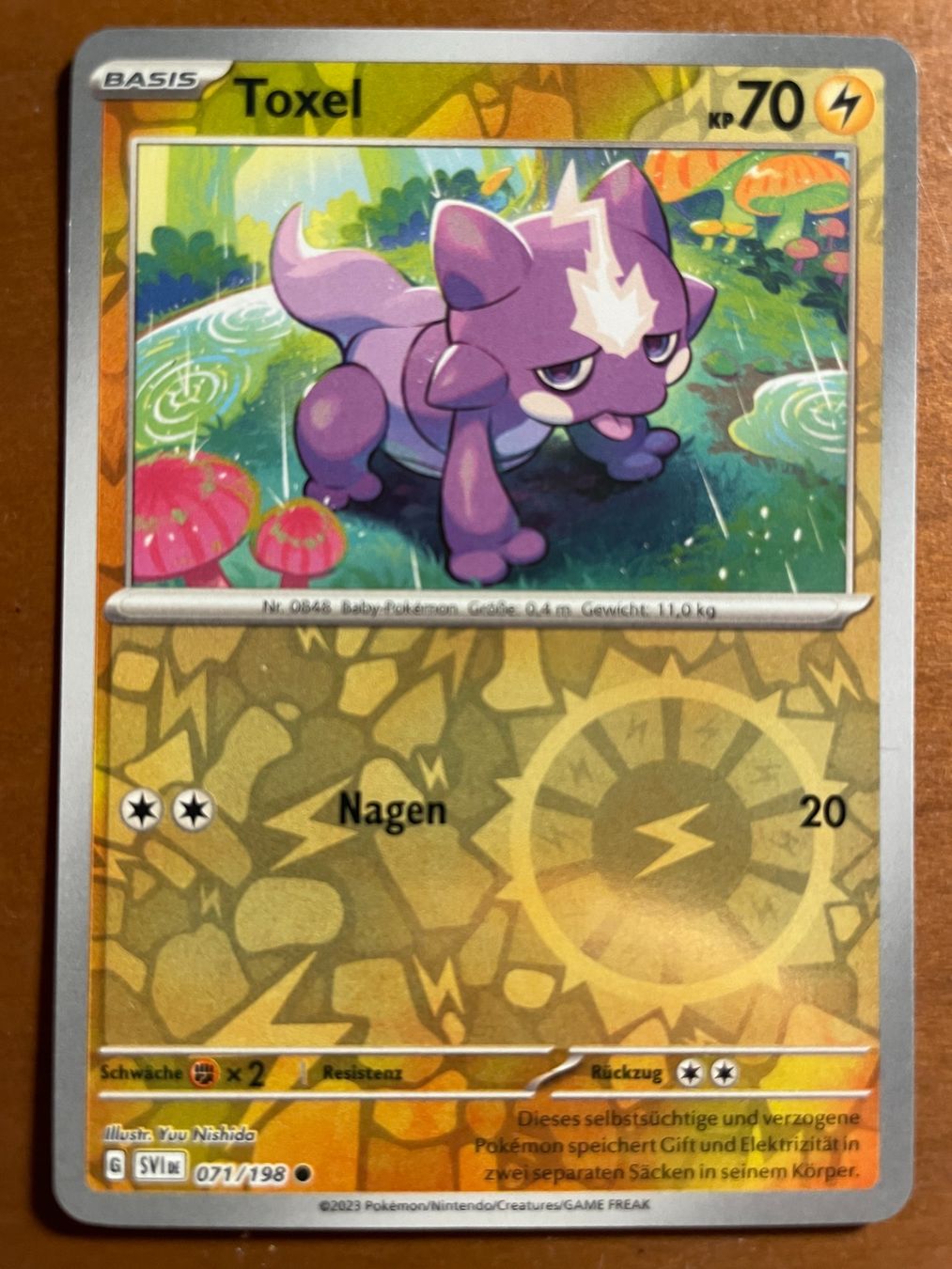 Pokémon Sammelbilder & Trading cards: Pokemon Toxel Reverse (Versand gratis) – Neu (gemäss Beschreibung) aus Chur von Angerson