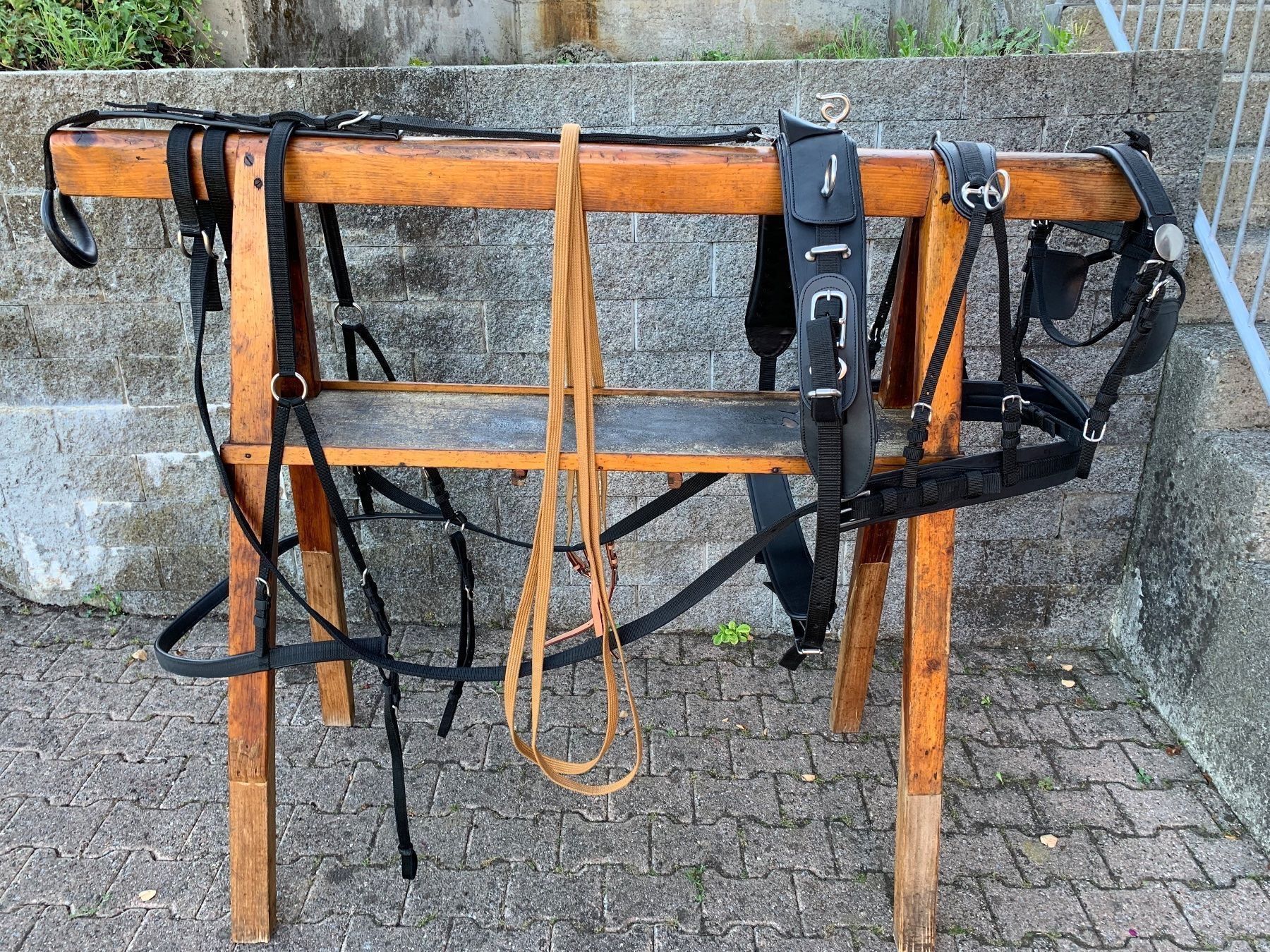 Carrozze: schönes einspänniges Brustblattgeschirr – Usato da Feldbach venduto da Fea1 8