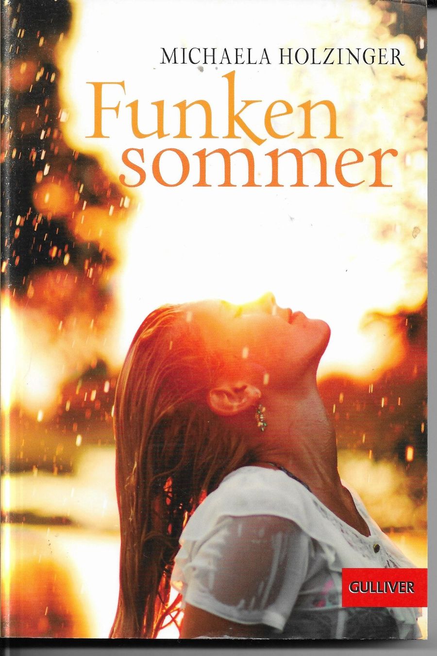 Libri: Michaela Holzinger - Funkensommer – Nuovo (secondo la descrizione) da Nunningen venduto da mercury-for-books