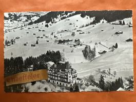 Alte Ansichtskarte Hotel Alpina, BE 147, Winterlandschaft