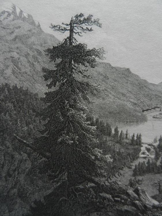 Gravures: St.Moritz Engadin – D'occasion à Risch par Rischli15 3