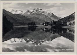 GR 285 SILVAPLANASEE GF