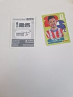 Panini Sticker PAR19