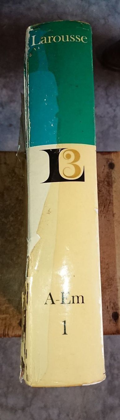 Bücher: Larousse / Dictionnaire – Gebraucht aus Cortaillod von signep 1