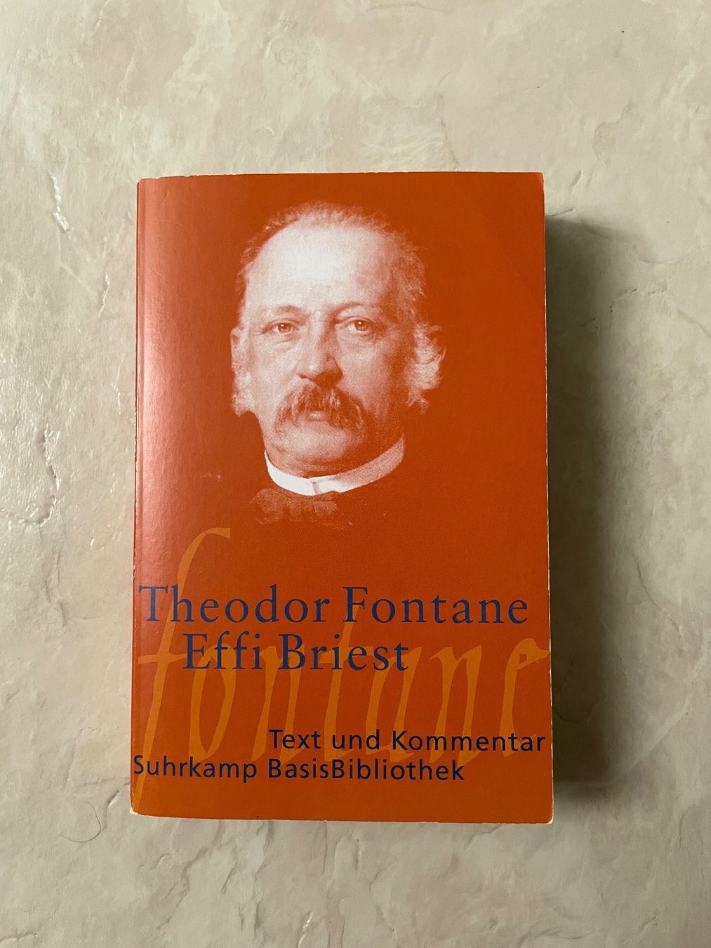 Libri: Effi Briest – Usato da Uetikon am See venduto da m1384