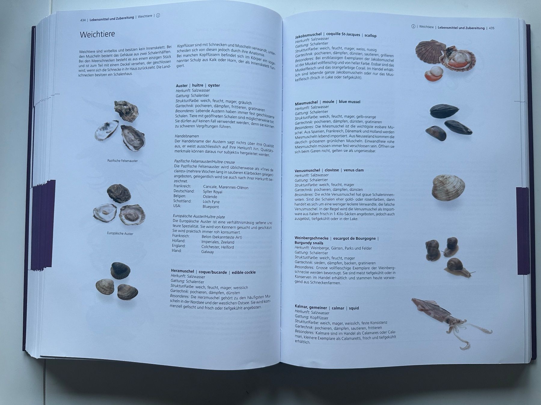 Libri: Pauli Lehrbuch der Küche – Nuovo (secondo la descrizione) da Dietlikon venduto da has_s9fw 7