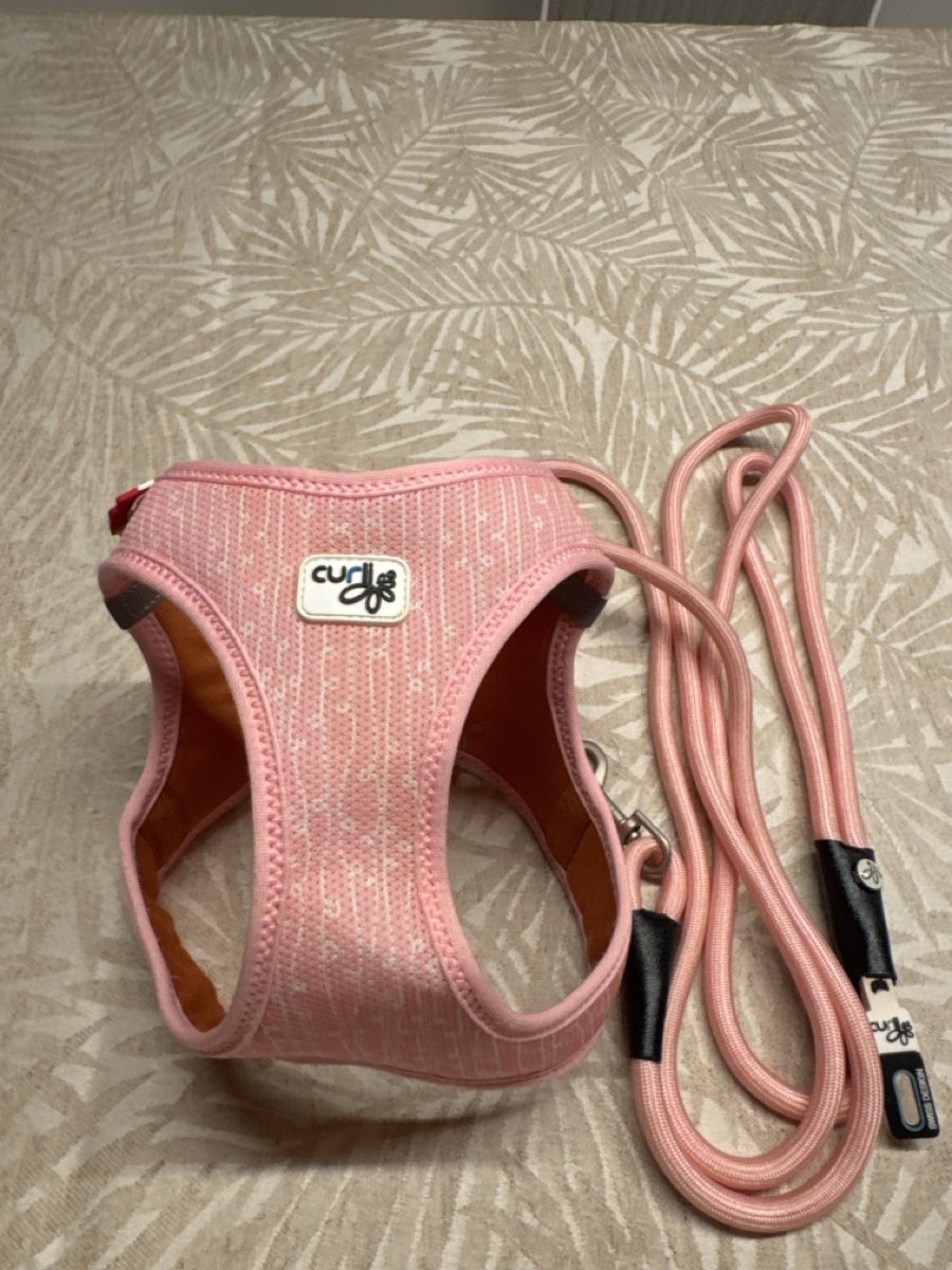 Guinzagli & Collari: Curli harness and leash set  – Usato da Meinisberg venduto da KristinaaL 1