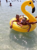 1 Bedeinsel /Schwimmring / Gummi flamingo fur den Pool (Neu)