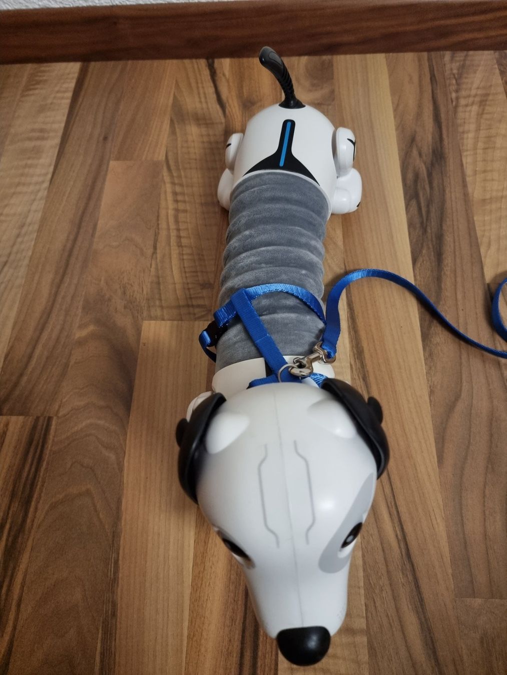 Spielzeuge: Roboter Dackel – Gebraucht aus Goldingen von ruven02 1