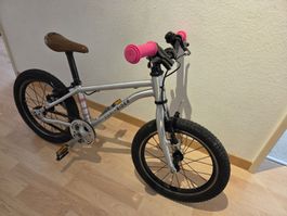 early rider 16