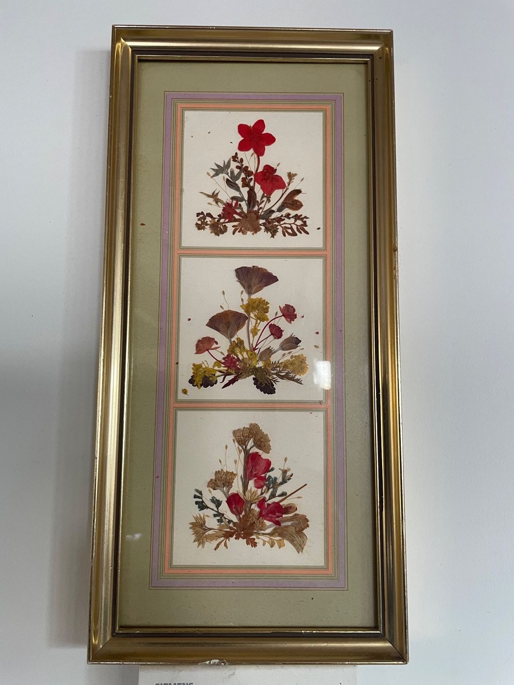 Dipinti: Ancien Tableau Fleurs Séchées – Usato da Vallamand venduto da Bricbracbroc82 1