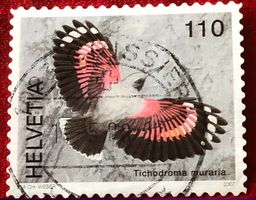 Nr. 1238 MAUERLÄUFER GESTEMPELT 2007