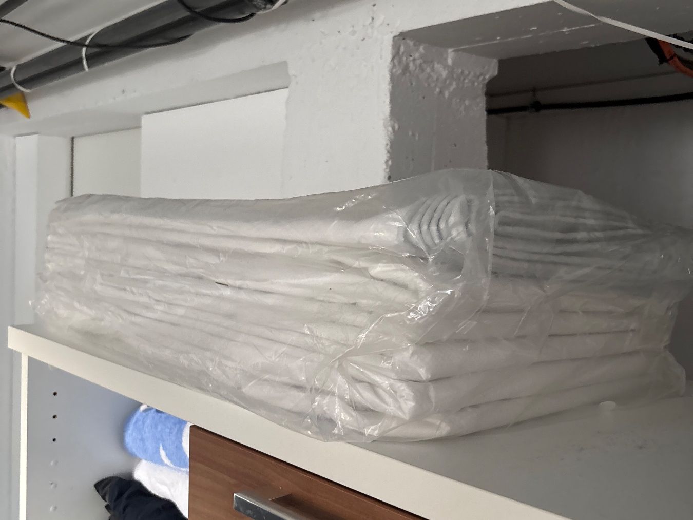 Altro: Allzweck-Plane Abdeckplane 150 G/QM – Nuovo e nell'imballaggio originale da Frasnacht venduto da Daniel8142 2