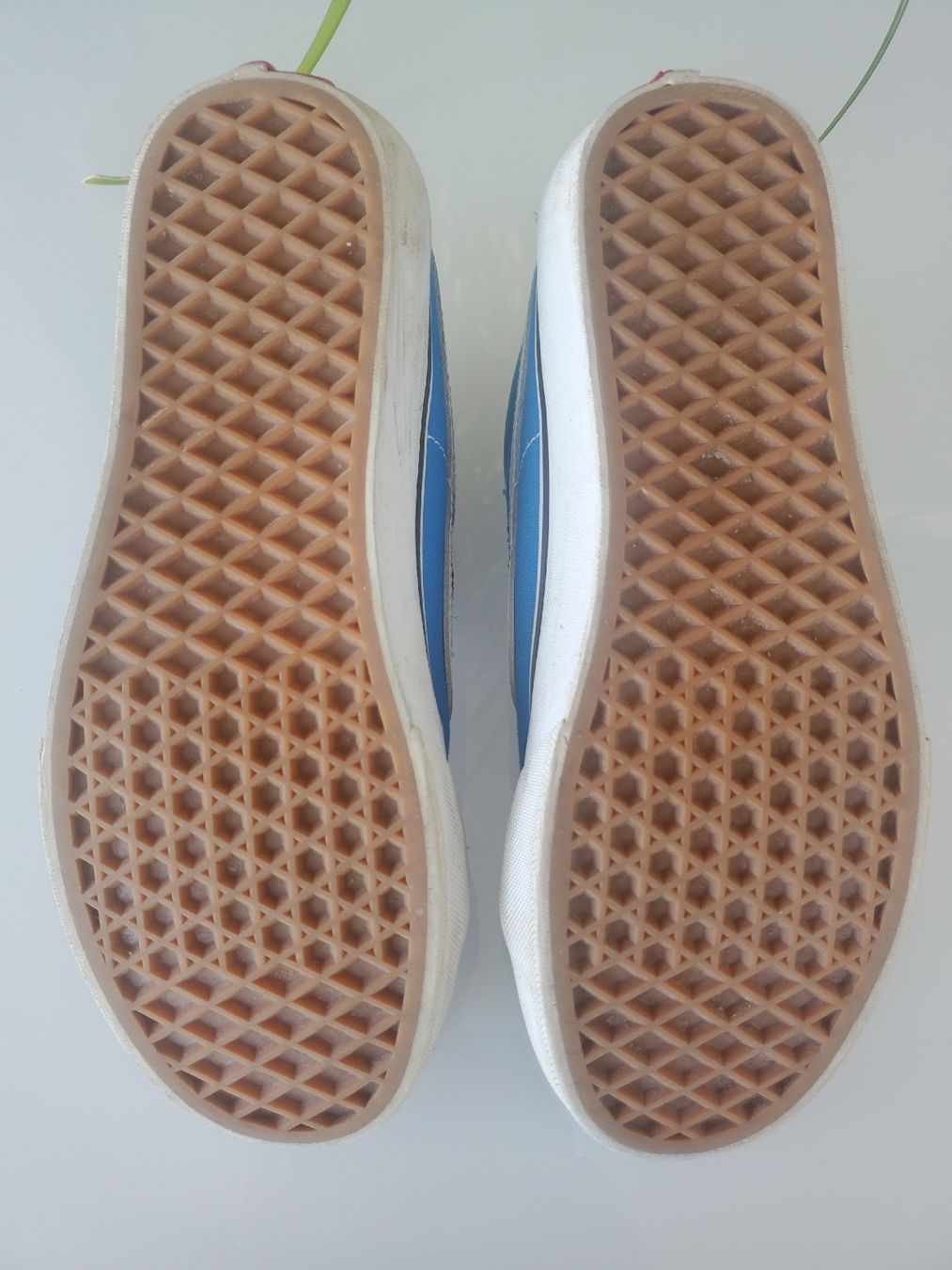 Vans Scarpe da uomo: Vans Sk8-Hi Schuhe, Grösse 38.5 – Usato da Frauenfeld venduto da BeneFull 3