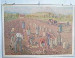 ⭐Schulwandbild 42: "Kartoffelernte" von Traugott Senn, 1944