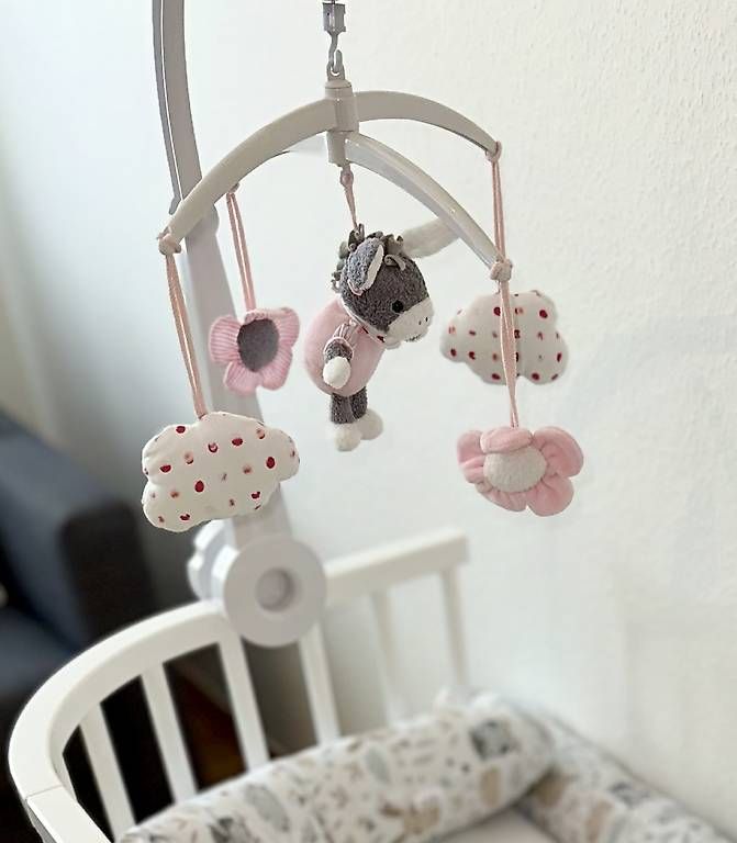 Tiro con l'arco: Babymobile – Usato da Fällanden venduto da jul_tbl7 2