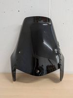 Dakar Windschild BMW F 650 GS