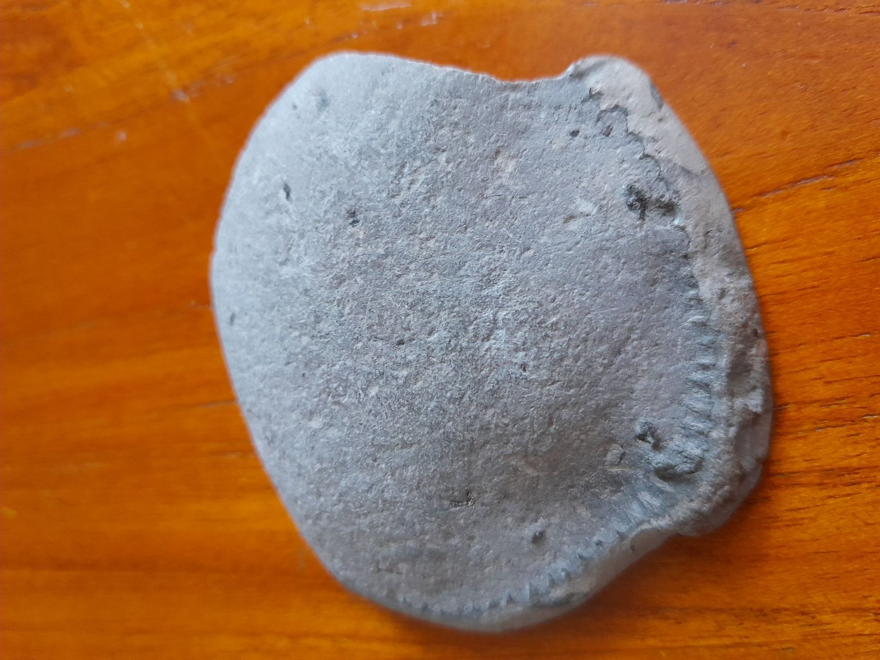 Fossili: Petite ammonite – Usato da La Chaux-de-Fonds venduto da AntoineKolbl 3