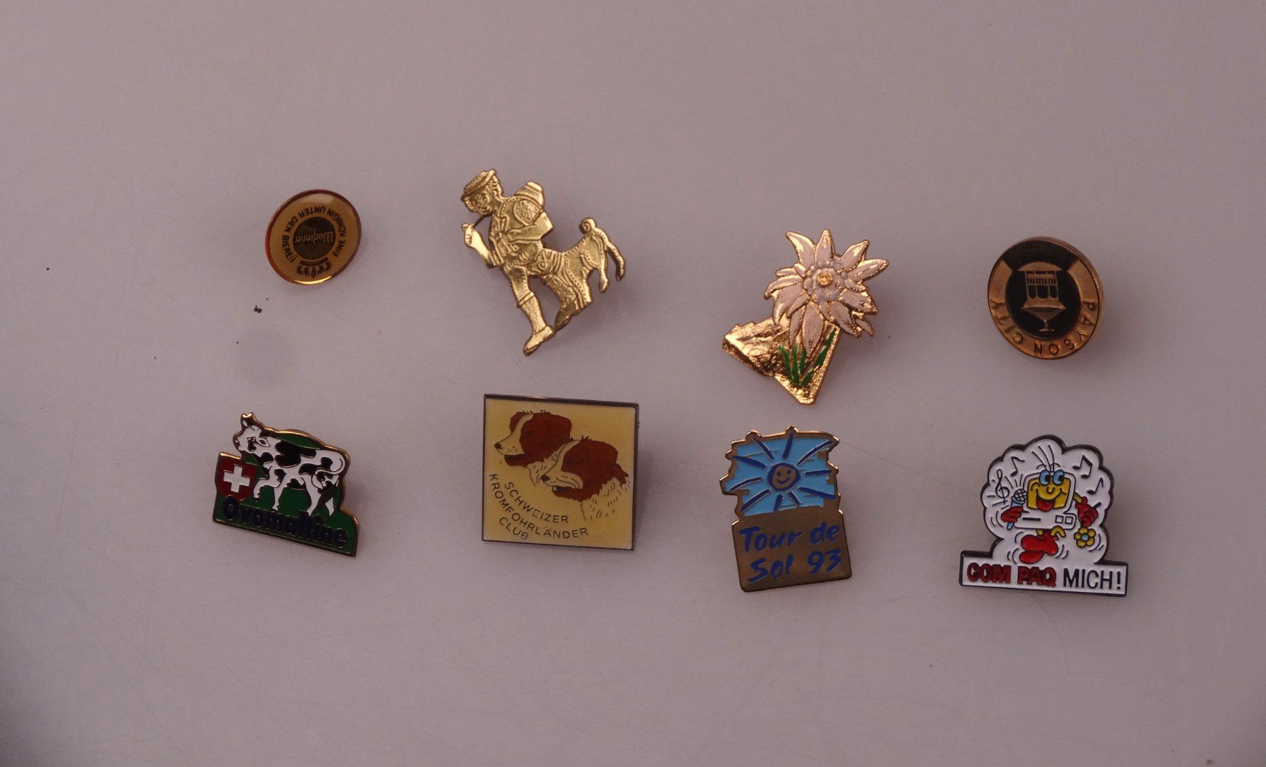 Placchette & Badge: Pins-Konvolut – Usato da Volketswil venduto da brockipfannenstil 6