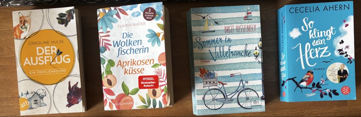 Libri: Bücherpaket/ 12 Frauenromane – Usato da Basel venduto da NellyBotti 1