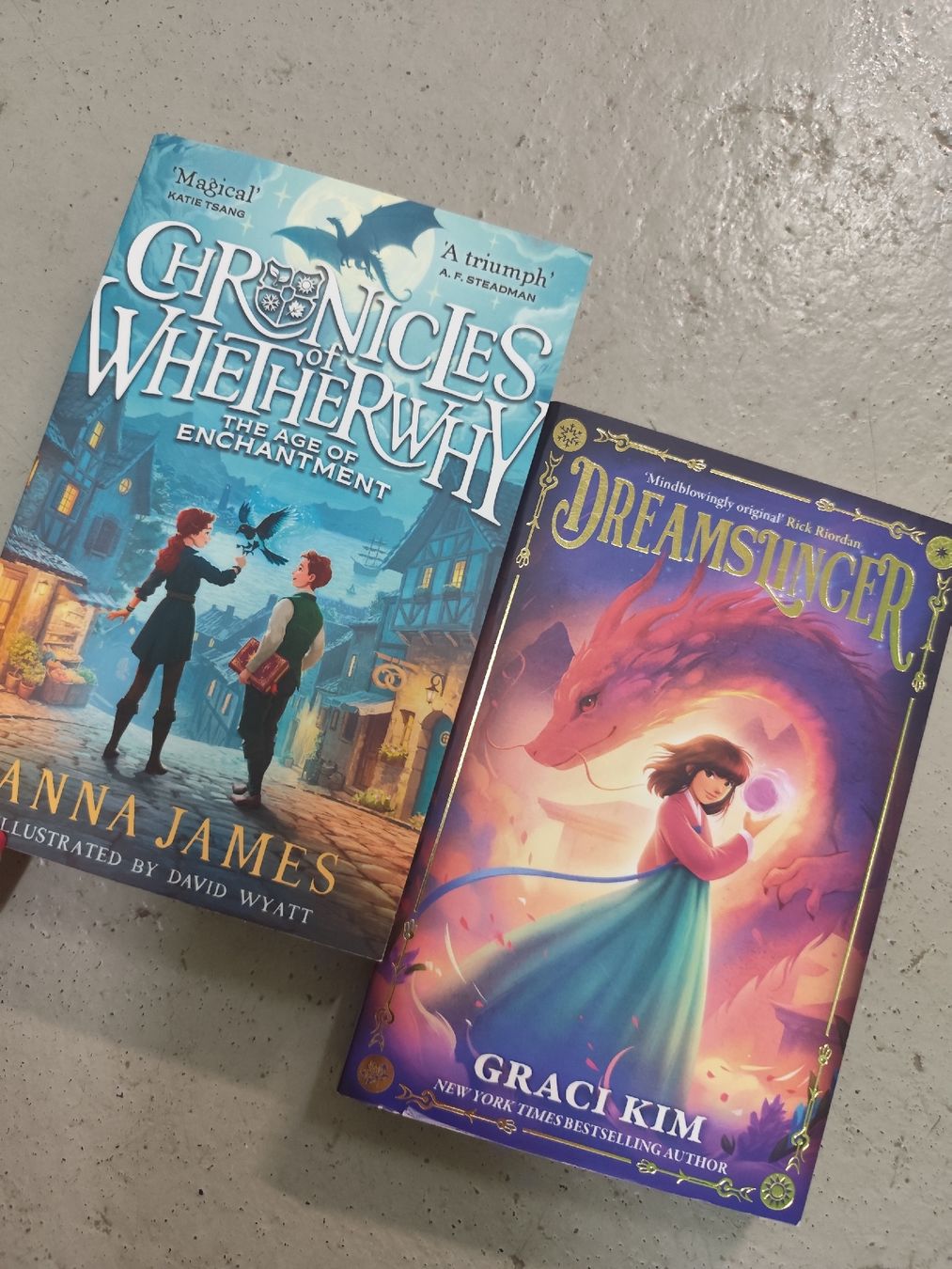 Libri: Fantasy Book Set: Chronicles of Whetherwhy and Dreamslinger – Usato da Mägenwil venduto da VintageGirly