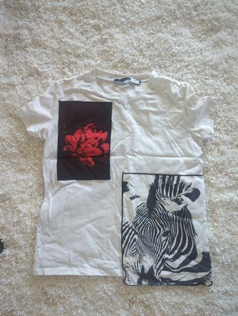 Sportmax Code Cotton T-Shirt, Size S, Zebra & Floral. 52