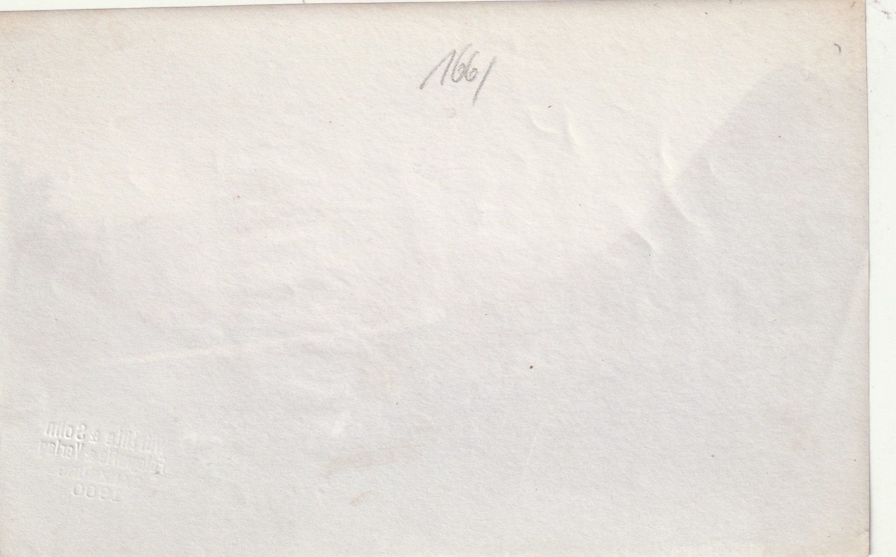 Cartoline postali: Triesen Echtfoto – Usato da Rorschacherberg venduto da fratovi2 1
