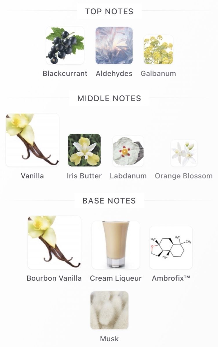 Byredo Parfum & Eau de Toilette: NICHE — 2x 2ml EdP — Byredo – Neu und originalverpackt aus Genève von StaceyH 4