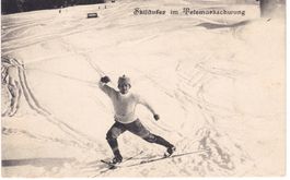 Skiläufer im Telemarkschwung