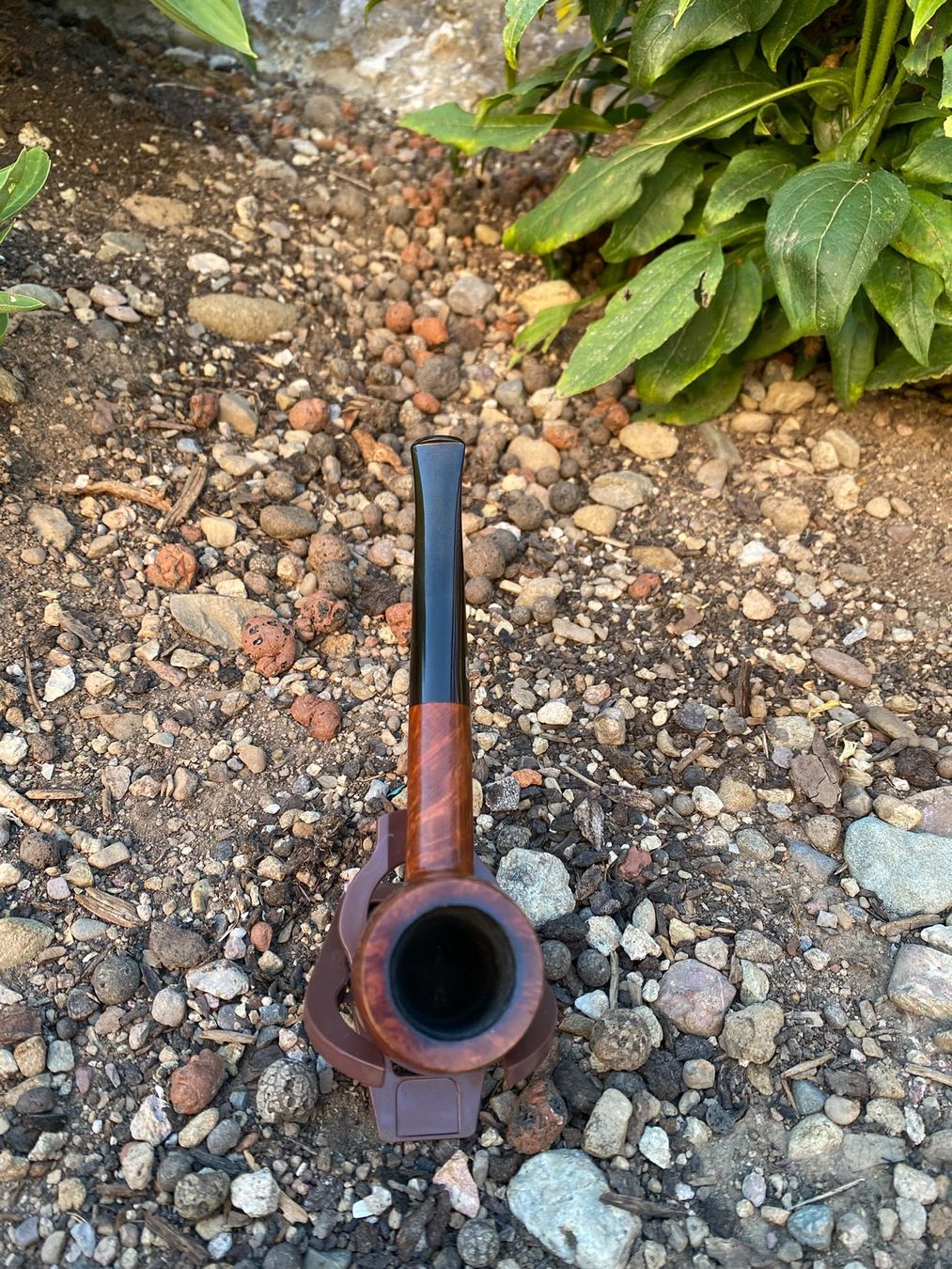 Pipes & Accessoires: Tabak Pfeife Chacom – D'occasion à Schänis par M.a.r.k.85 2