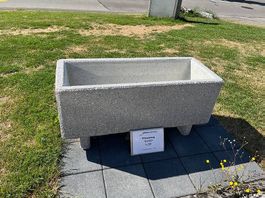Pflanzentrog Ausstellmodell