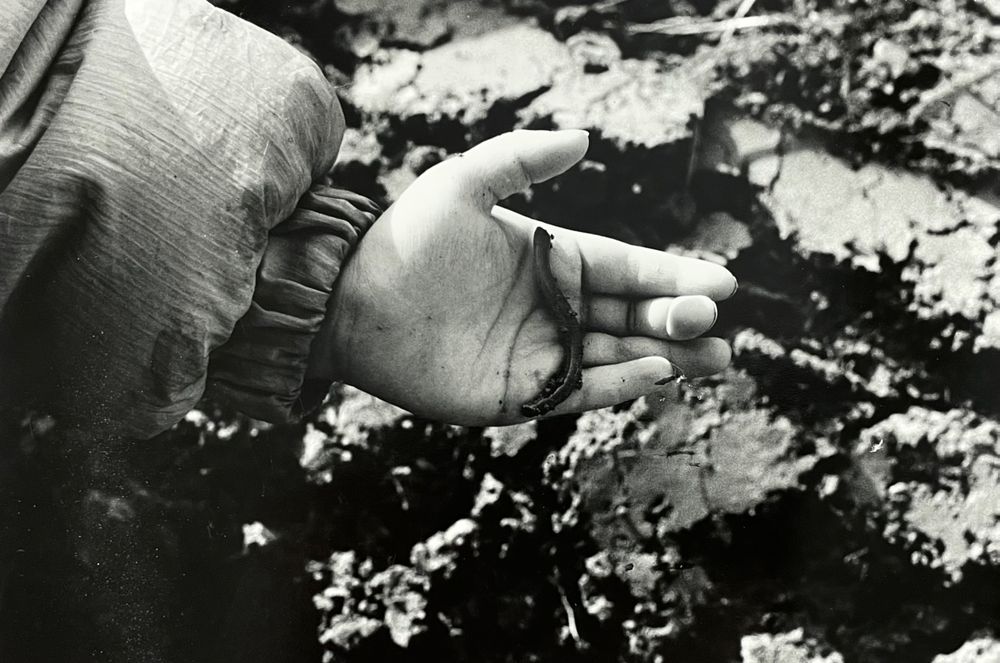 Michel François (1956) Fotografie Kaufen auf Ricardo