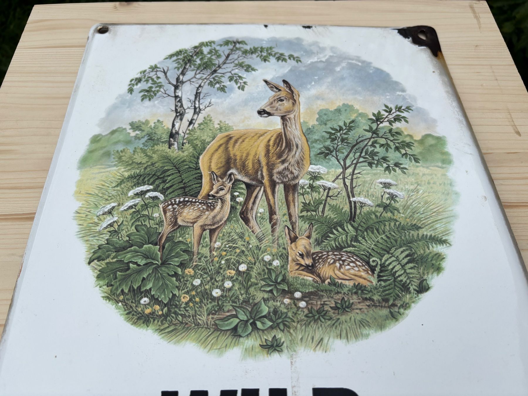 Insegne: seltenes altes Bockhacker Emailschild Wild Ruhezone – Usato da Feldbach venduto da Olive1 4