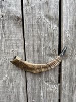 Signalhorn aus echtem Horn mit Tragekette