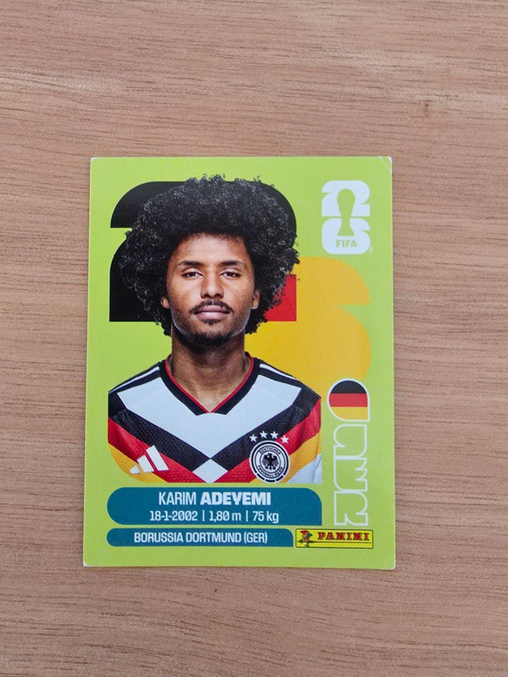 Panini Cartes à collectionner: Panini Fifa Ger 19 – D'occasion à Malters par mat_6102