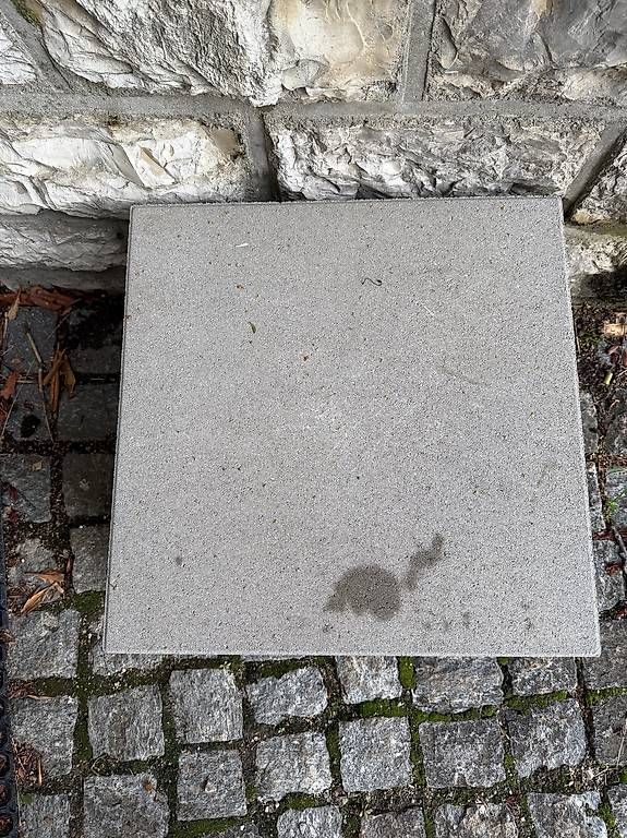 Bodenbeläge: 8 dalles 50x50x4cm – Neu (gemäss Beschreibung) aus Les Geneveys-sur-Coffrane von ba_s 1