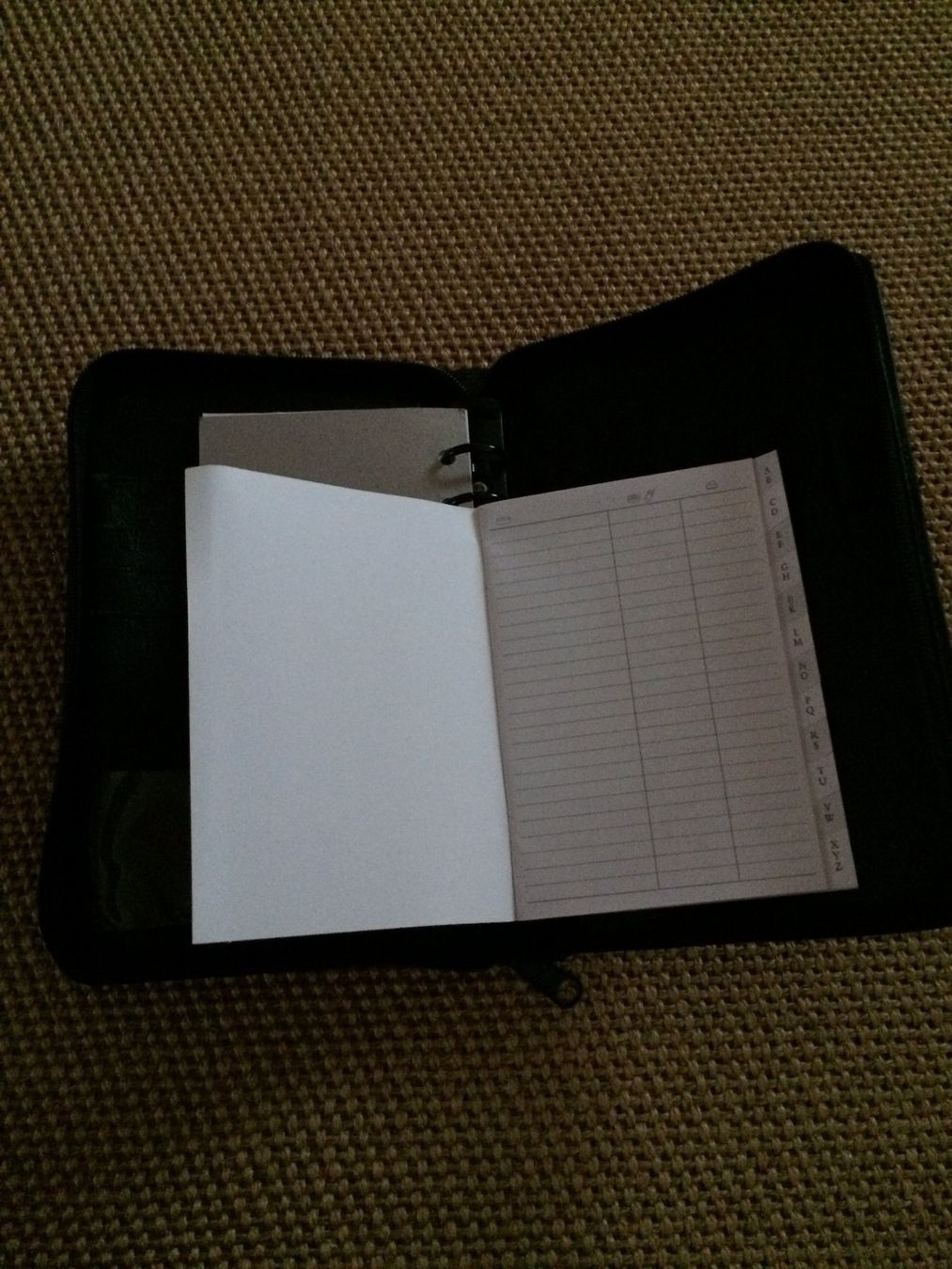 Calendari: Terminplaner A5 Leder, ca. 14 x 22 x3 cm – Usato da Buchs AG venduto da ReaNaTsch 4