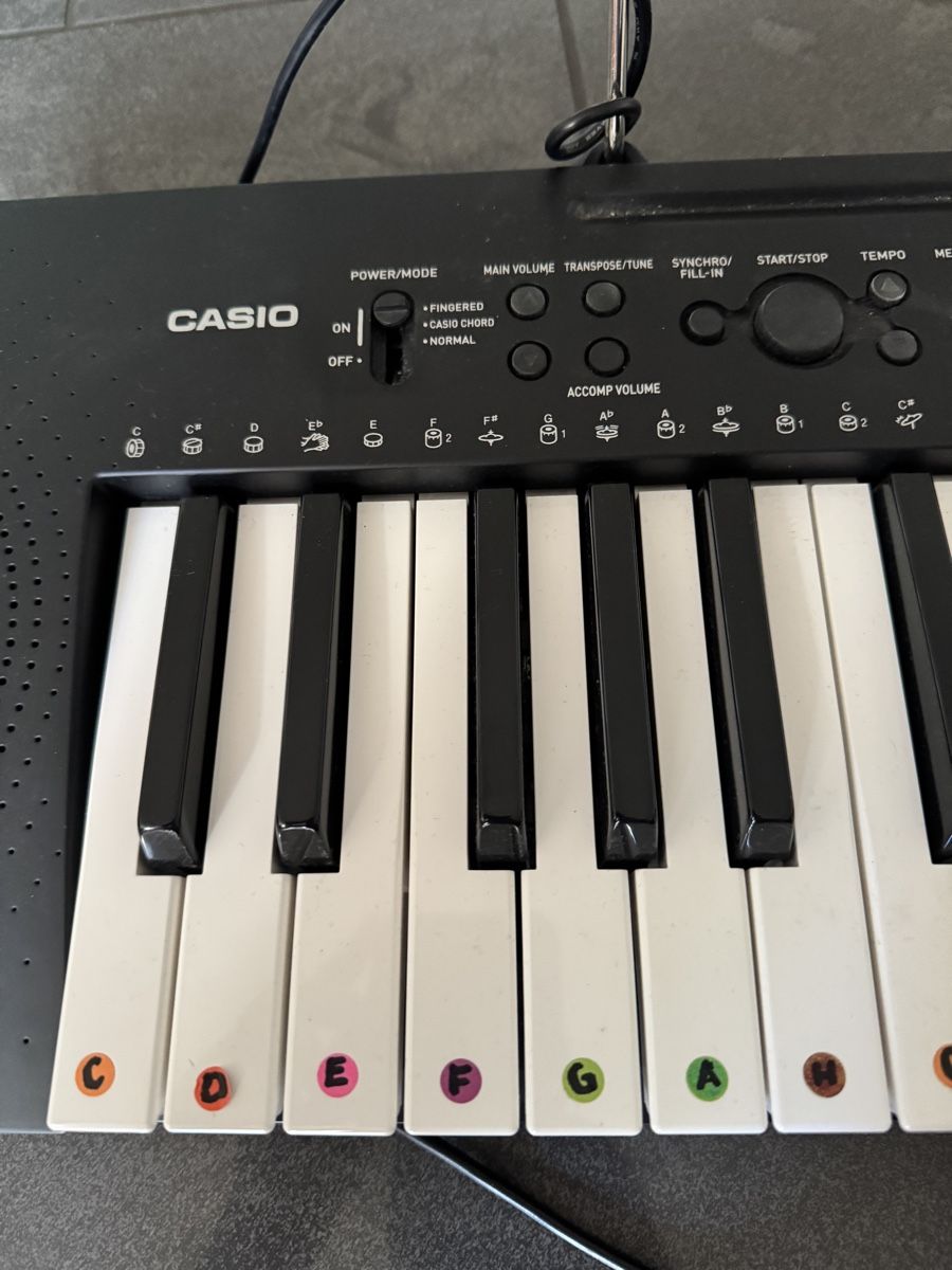 Casio Instruments de musique: Casio CTK-240 Keyboard gebraucht mit Netzteil – D'occasion à Biberist par jen_xg8c 1