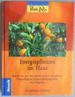 Energiepflanzen im Haus - von Eva Katharina Hoffmann