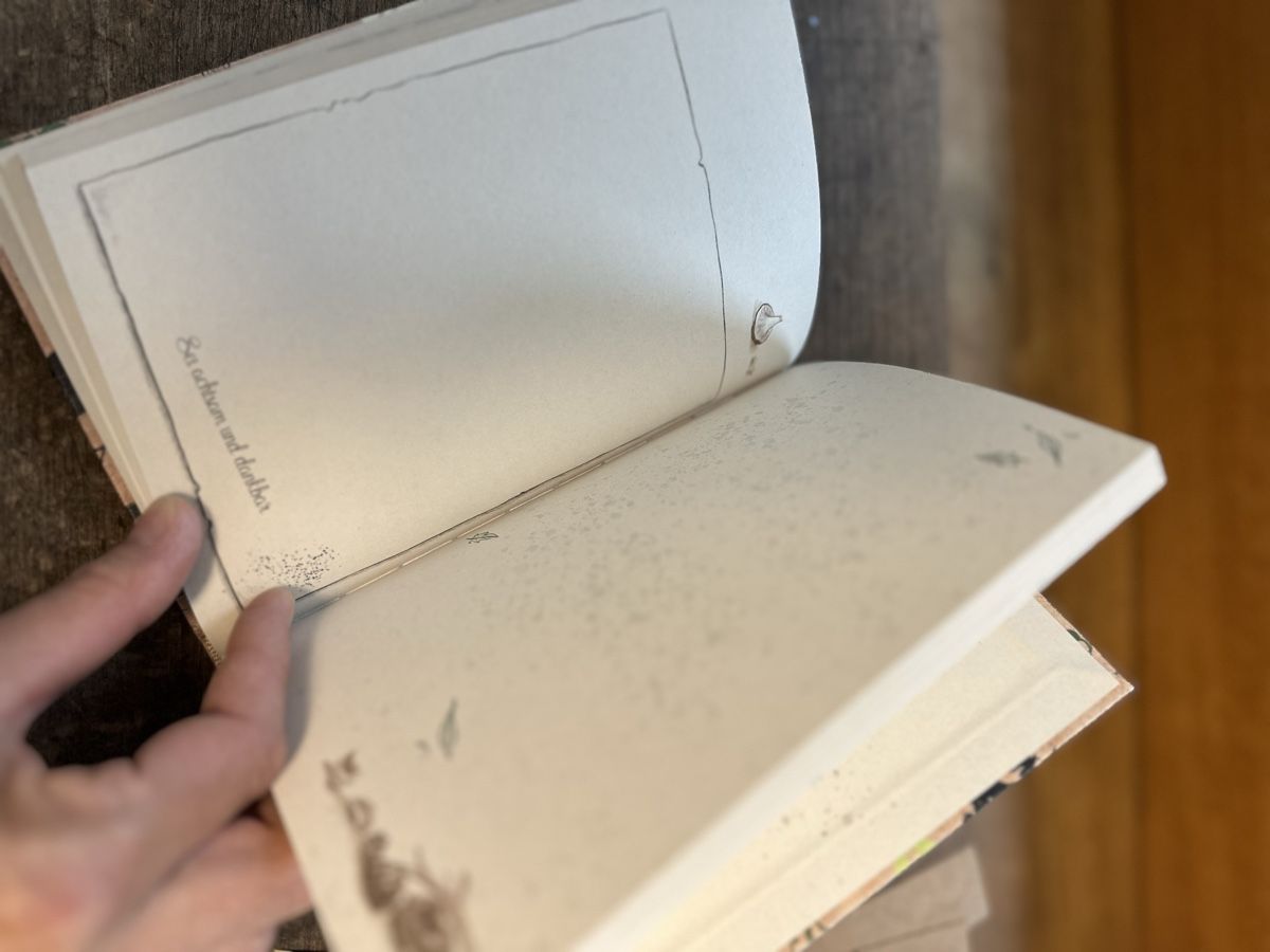 Bücher: Mein Willow Waldtagebuch  NEU – Neu (gemäss Beschreibung) aus Ettingen von rah_xgy9 6