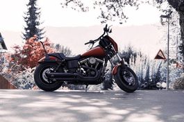 Harley-Davidson FXDF 103 (Chopper Umbau)