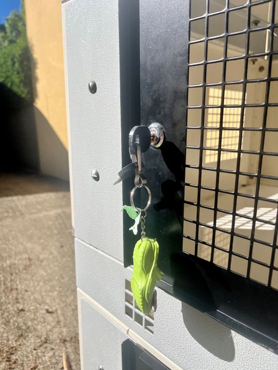 Hamsterkäfig Mit 360° Rundumsicht - Geräumiger Nagetierkäfig Für Hamster, Mäuse & Ratten