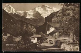 AK Wilderswil, Ortspartie mit Strasse