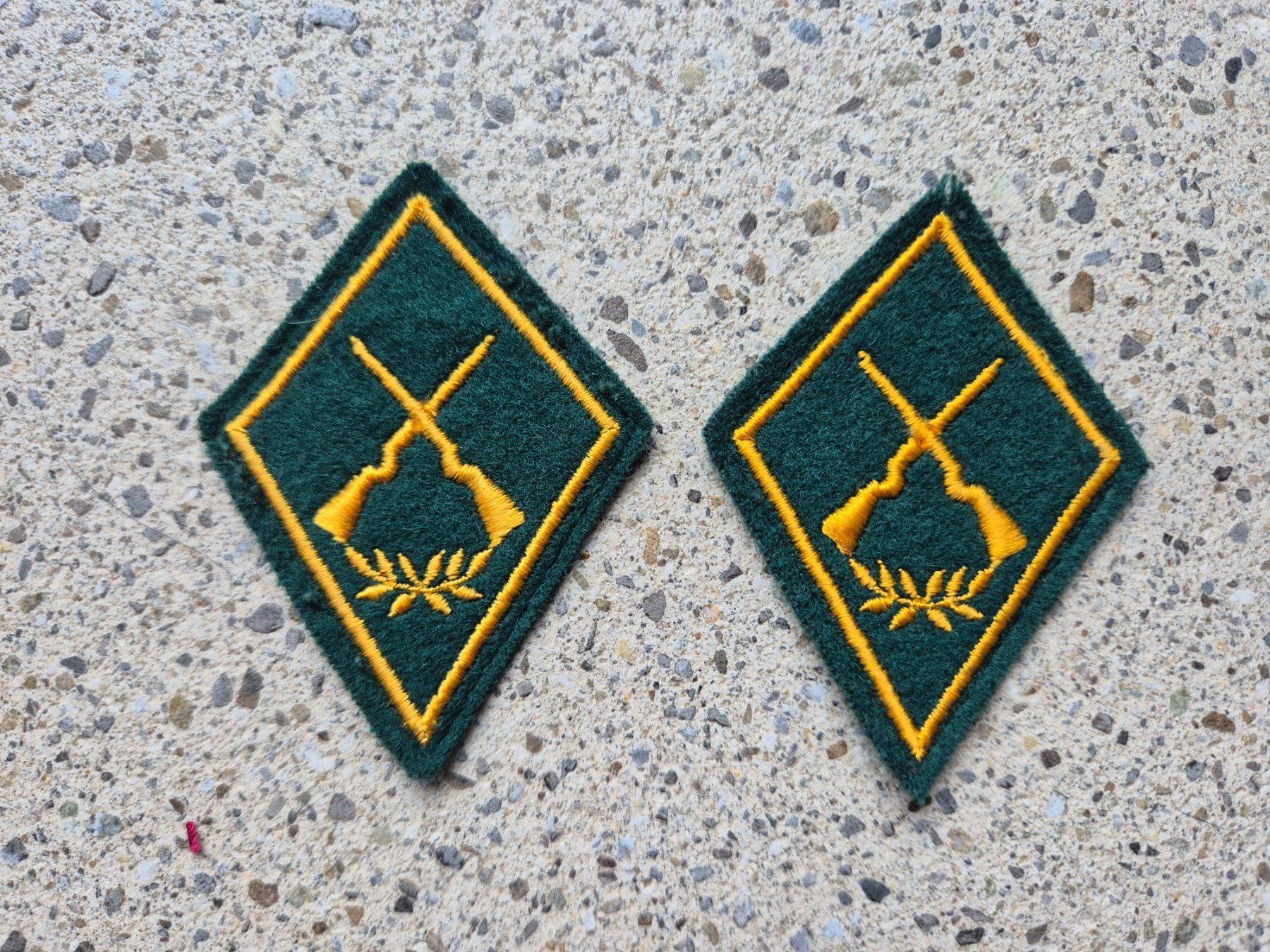 Schweizer Armee Placchette & Badge: *** Kragenspiegel / Kragenpatten *** – Usato da Riedholz venduto da fr_sIruP