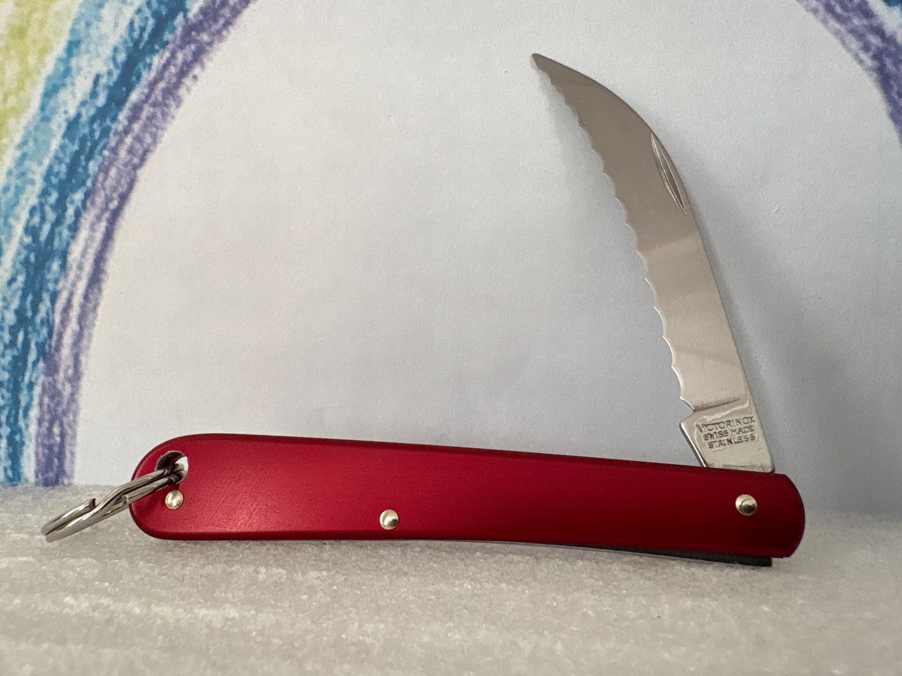 Victorinox Coltelli tascabile: VICTORINOX - Bäckermesser – Usato da Andwil SG venduto da Rainboli