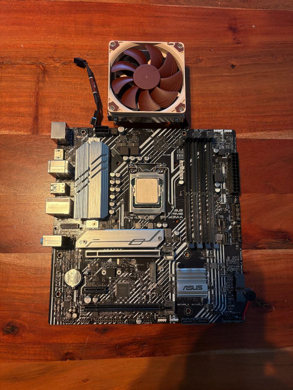 Asus Mainboards: Intel Core i5-11600k + Asus Prime B560M-A + CPU-Kühler – Gebraucht aus Amriswil von hardware_uschi