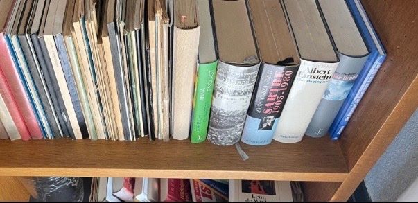 Regale: Bücher Regal Holz – Gebraucht aus Nussbaumen AG von HelenaDavid1910 1