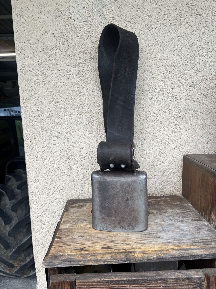 Glocken & Treicheln: Gotthardt ASM NR 5 – Gebraucht aus Schangnau von Roseggli82 7